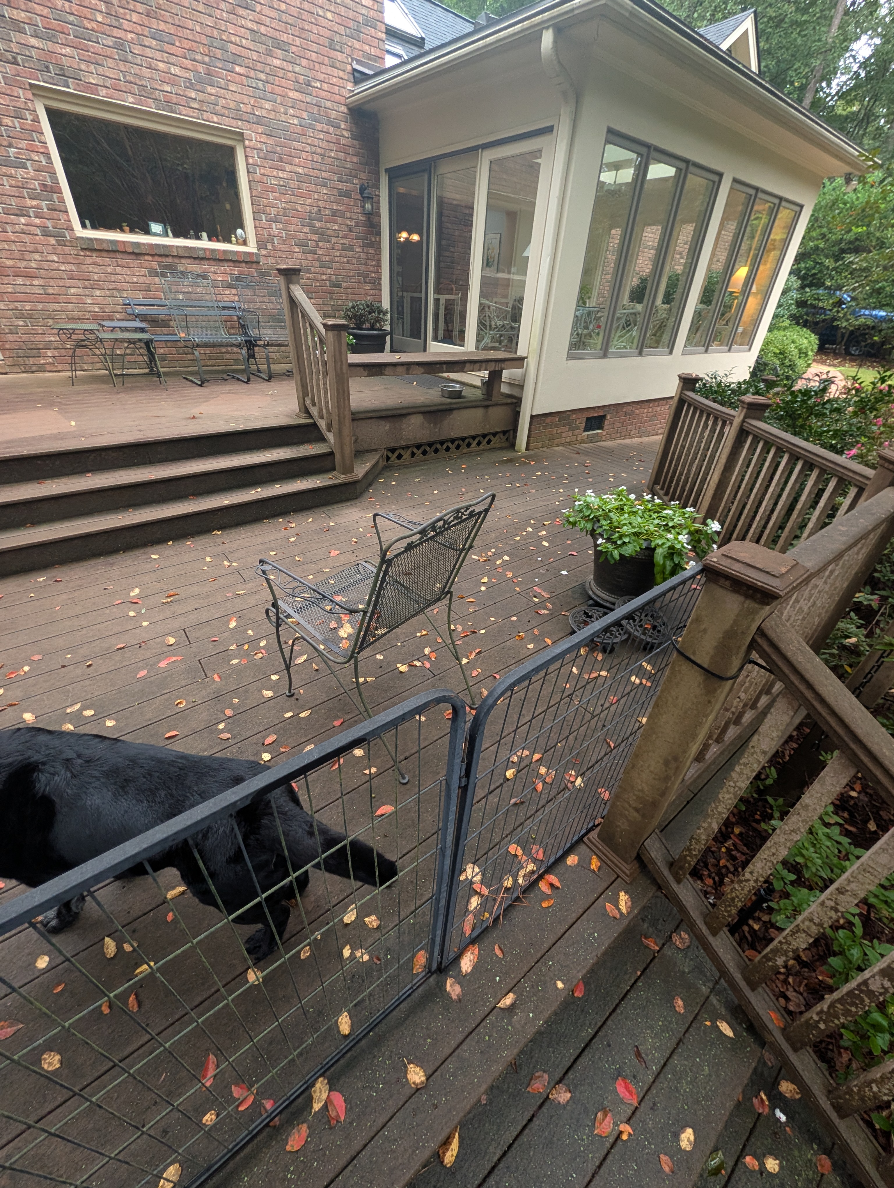 Deck wash greenwood before