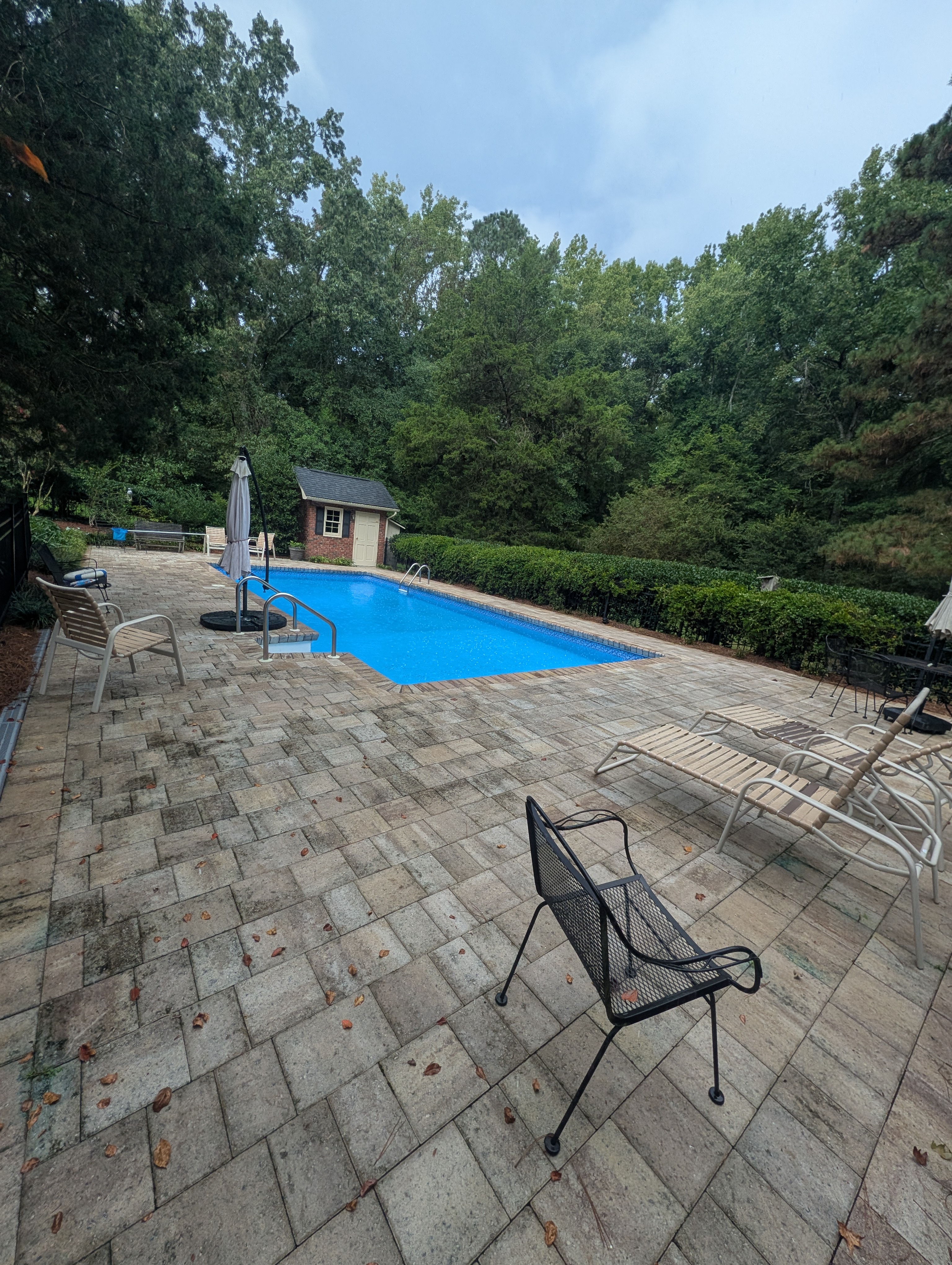Paver before cleaning greenwood