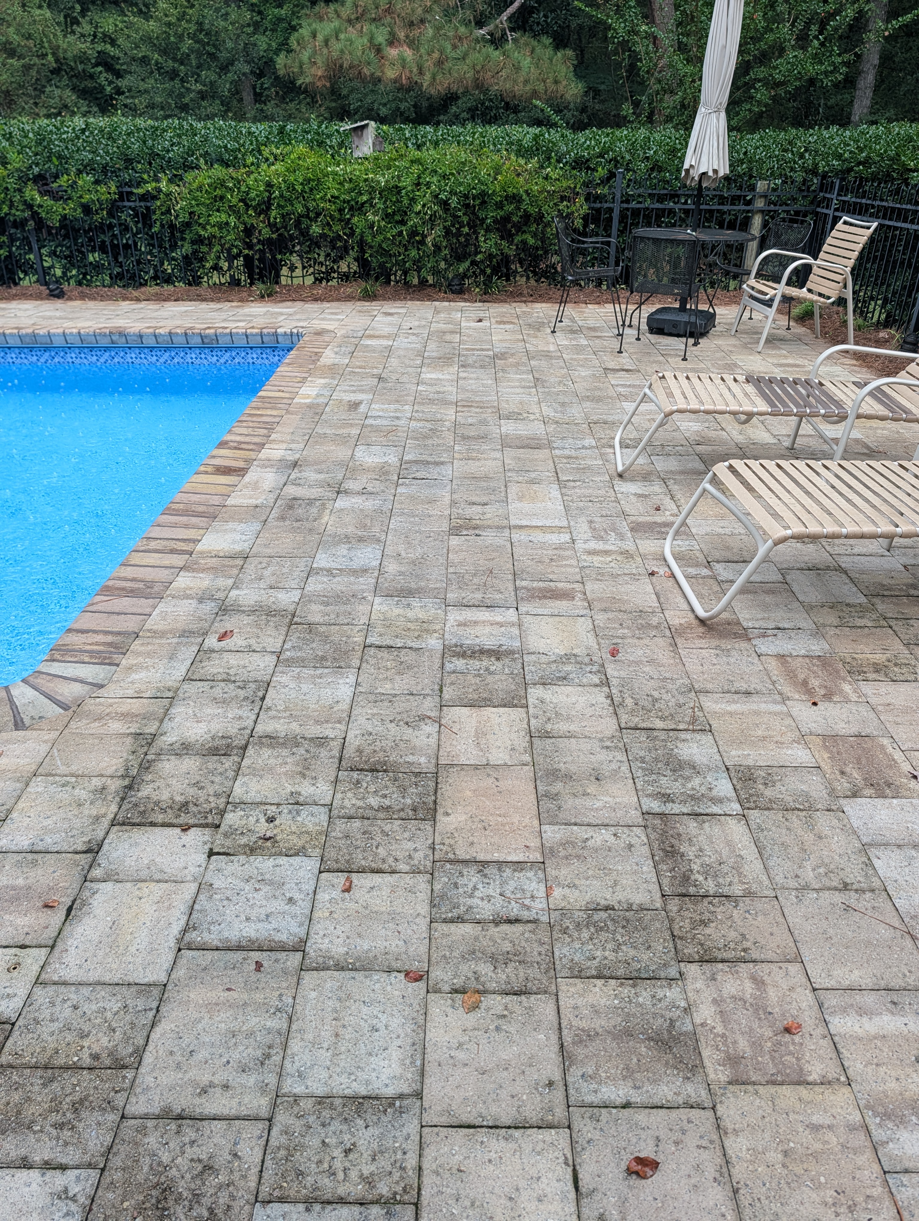 Pavers before cleaning greenwood