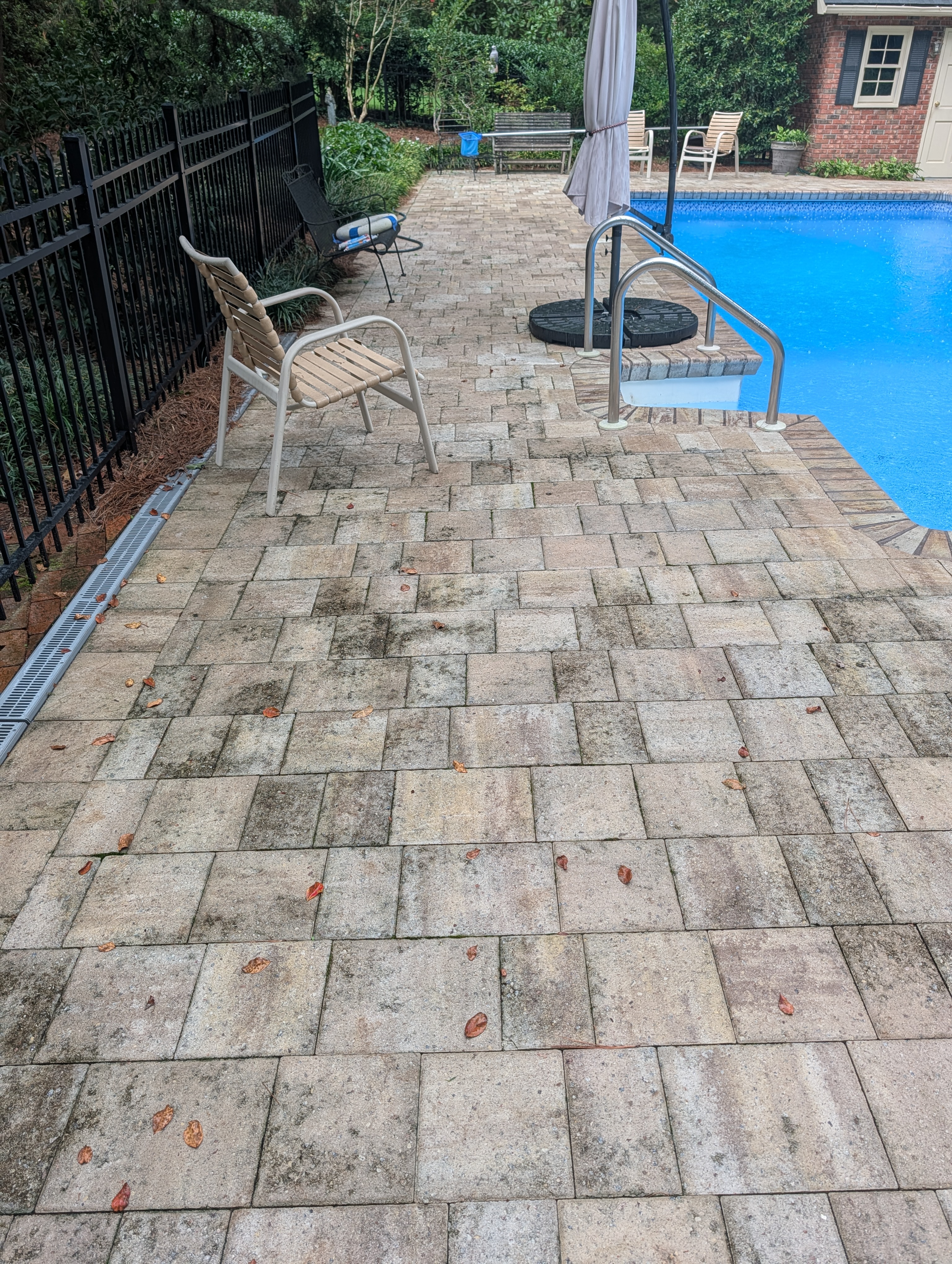 Pavers before cleaning greenwood